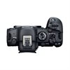 Canon EOS R6 Mark II + RF 24-105/4-7.1 IS STM