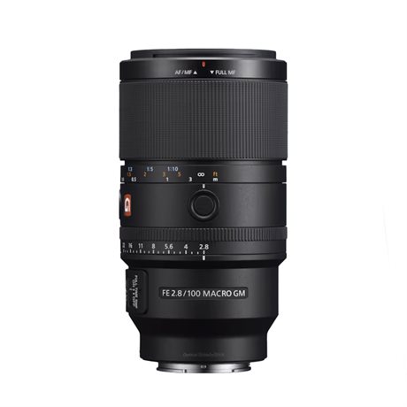 Sony FE 100/2.8 Macro GM OSS