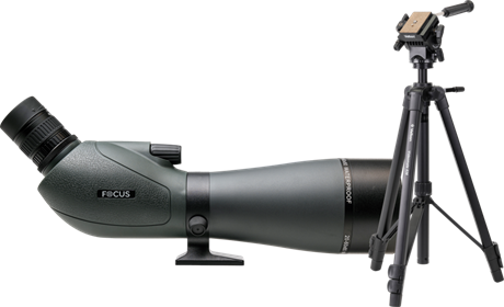 Focus Viewmaster 20-60x80 + Velbon Videomate 638