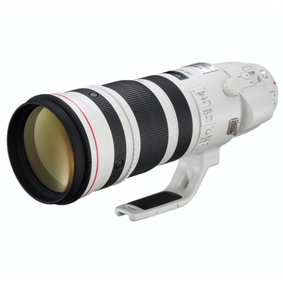 EF 200 400mm f4L IS USM EXTENDER 1.4P