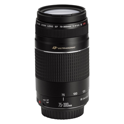 Canon EF 75-300/4-5.,6 III USM