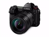 Panasonic Lumix S1 + 24-105/4,0 L Kit