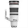 Canon RF 100-300/2,8 L IS USM