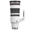 Canon RF 100-300/2,8 L IS USM
