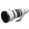 Canon RF 100-300/2,8 L IS USM